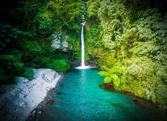 Island Escape: Camiguin (4-Day Add-On)