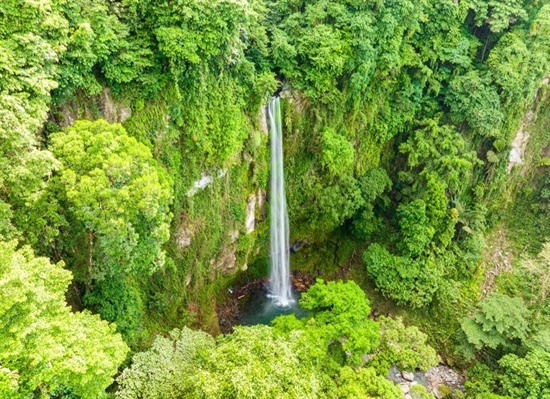 Island Escape: Camiguin and Bohol Adventure
