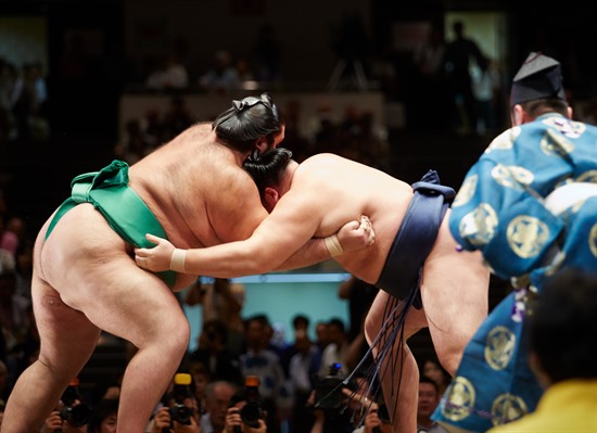 Japan Sumo Experience