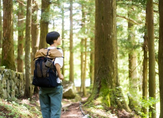 Japan's Historic Tokaido Trail: 5-Day Hiking Add-On