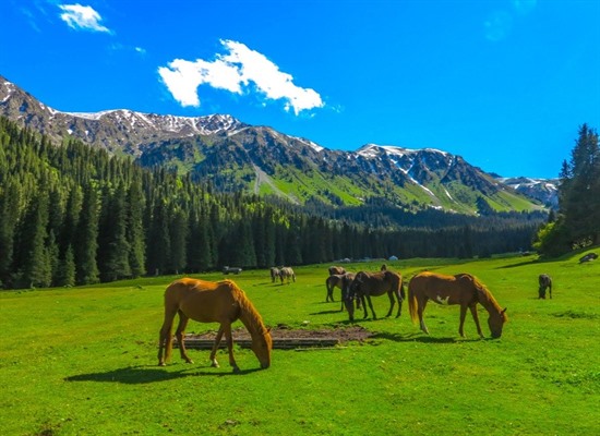 Kyrgyzstan and Kazakhstan Summer Adventure