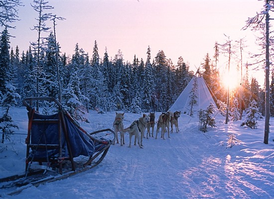 Lapland Wilderness Adventure