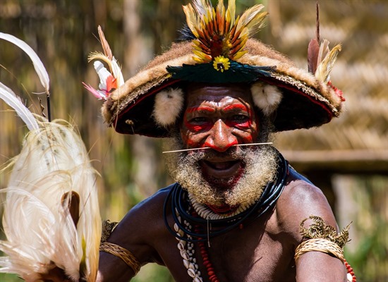Papua Unveiled: A Cultural Safari