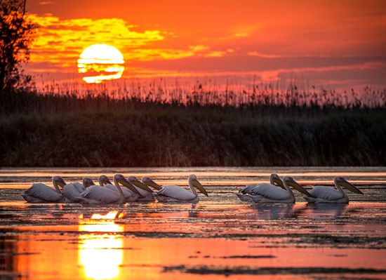 Romania Photography Group Tour