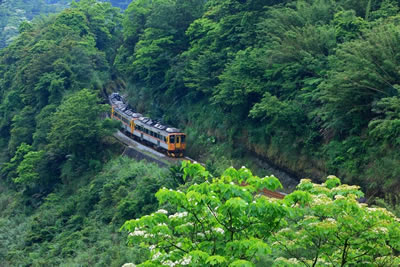 Taiwan by Train & Kinmen Island