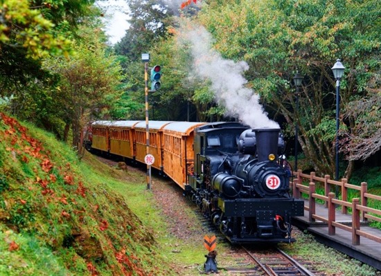 Taiwan Rail Explorer: Scenic Routes and Offbeat Encounters
