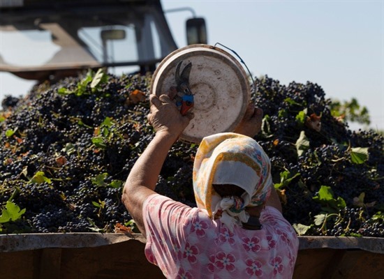 Taste of Moldova: Wine & Culinary Experience