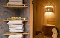 Volga Dream - sauna